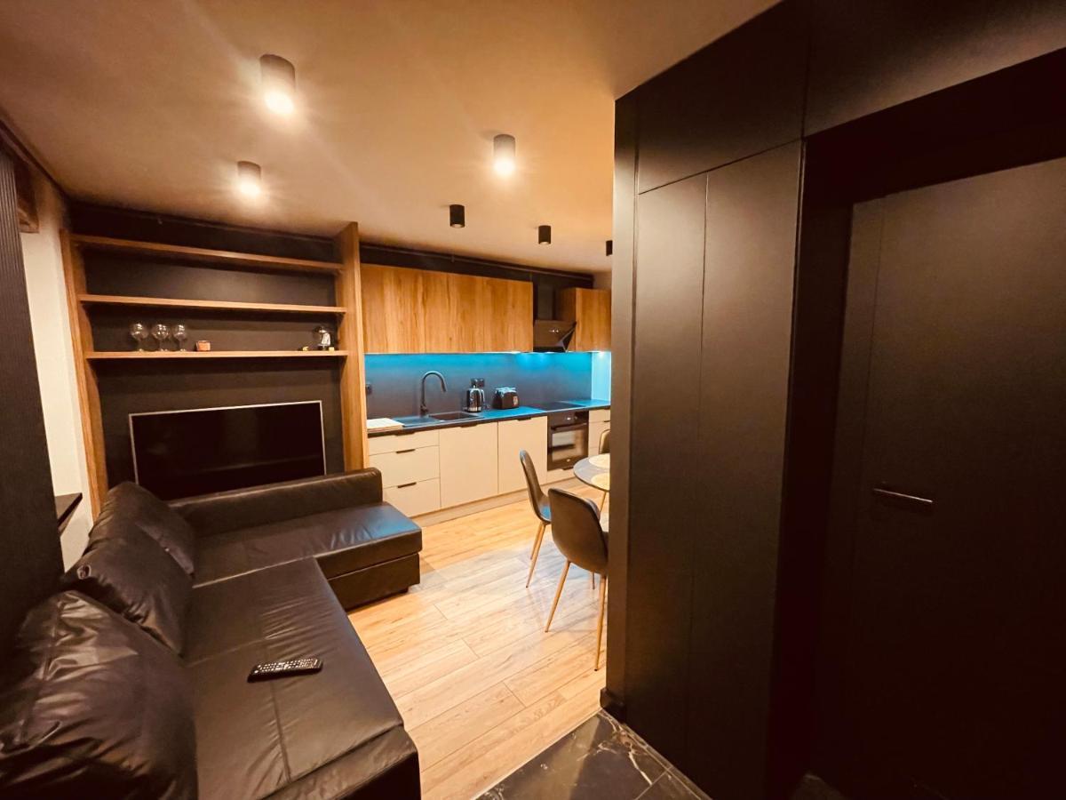 Apartamenty Ktw Park Slaski - Family Delux 卡托维兹 外观 照片