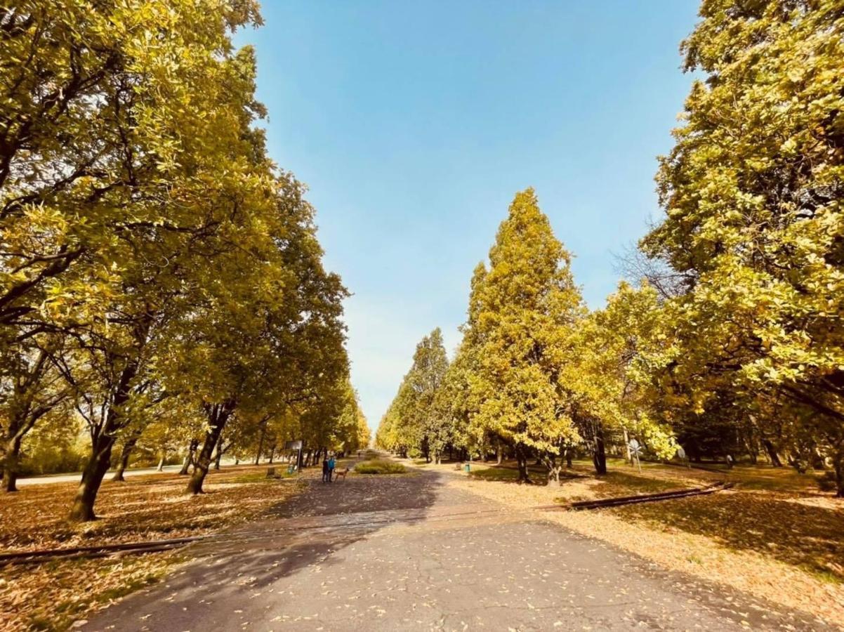 Apartamenty Ktw Park Slaski - Family Delux 卡托维兹 外观 照片
