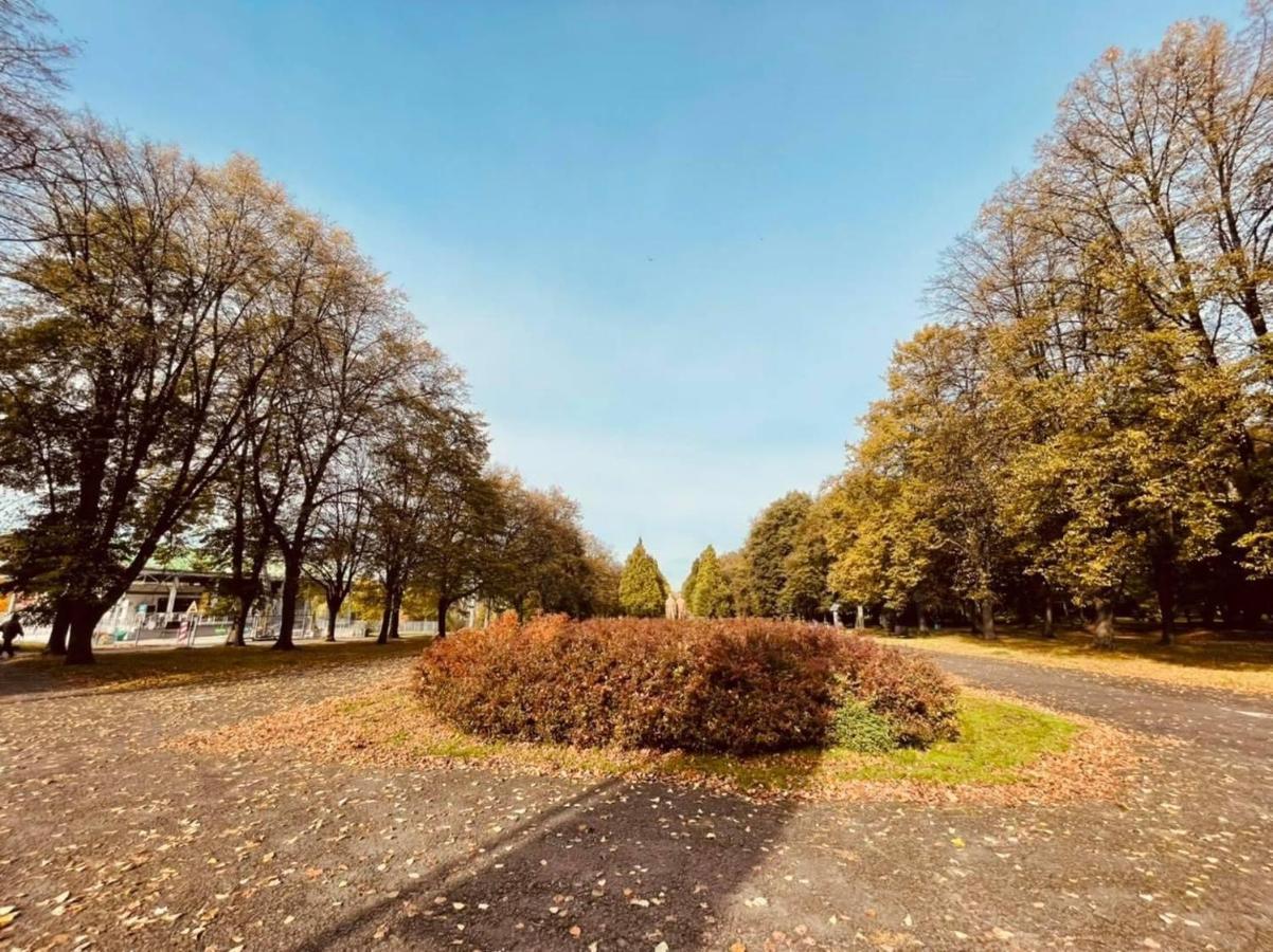 Apartamenty Ktw Park Slaski - Family Delux 卡托维兹 外观 照片